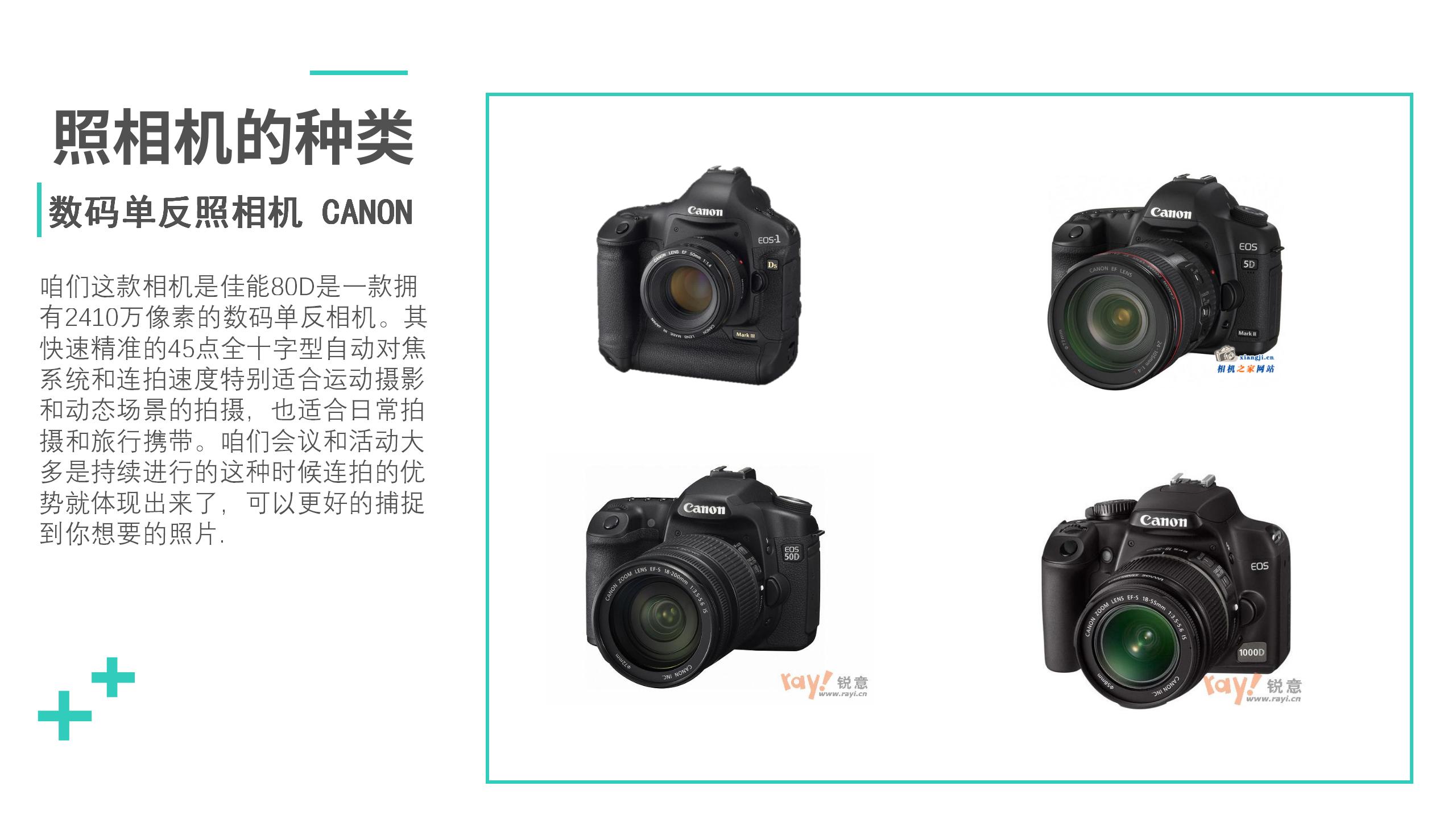 赵昕阳摄影培训_22.jpg