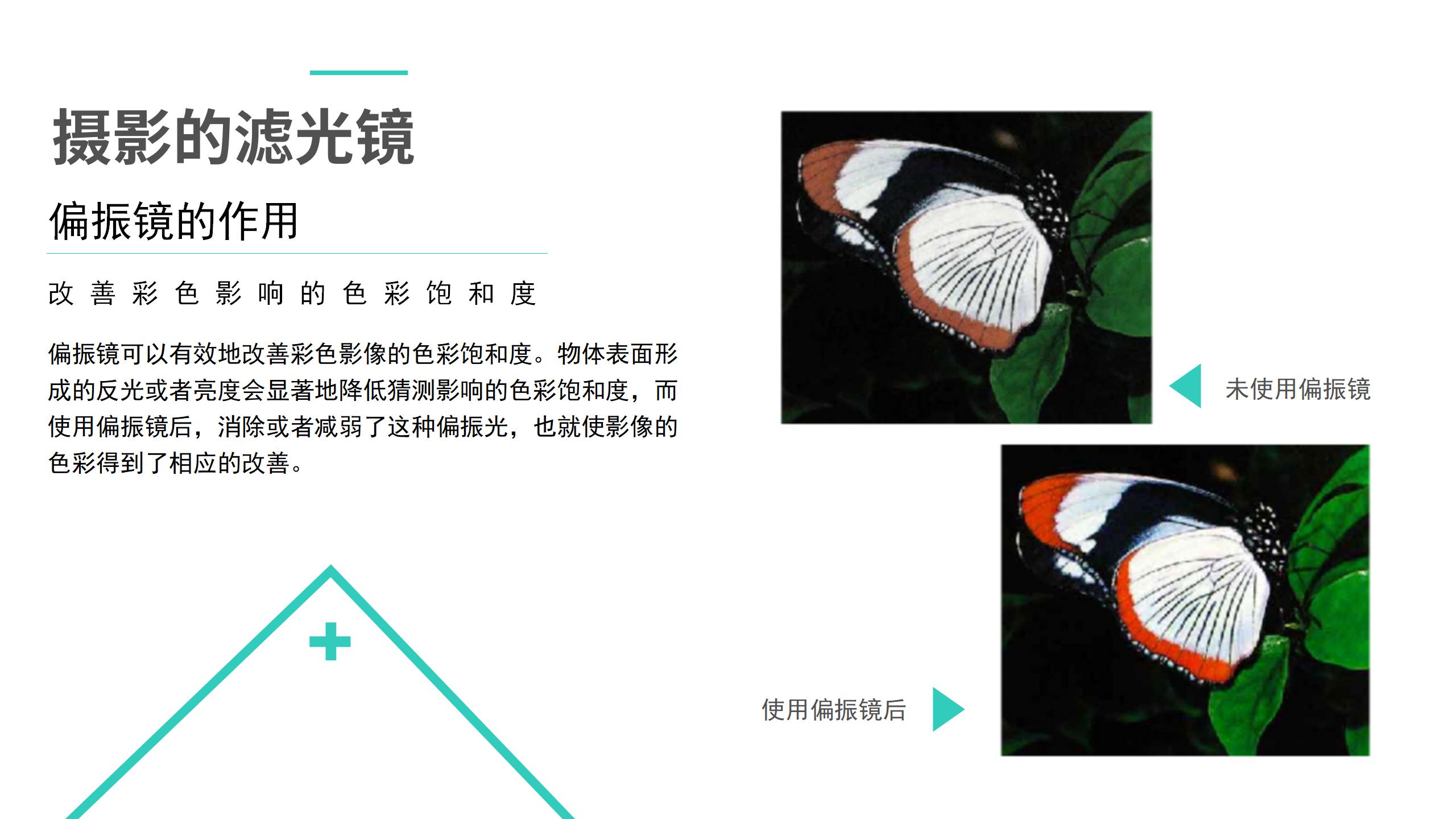 赵昕阳摄影培训_41.jpg